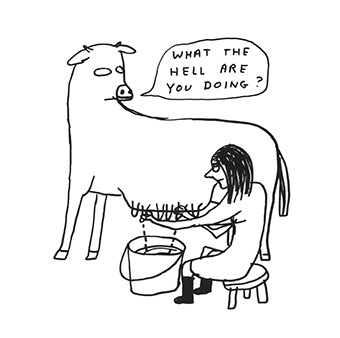 David  Shrigley